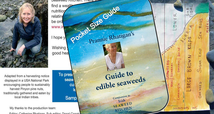 Pocket Guide to Edible Seaweed
