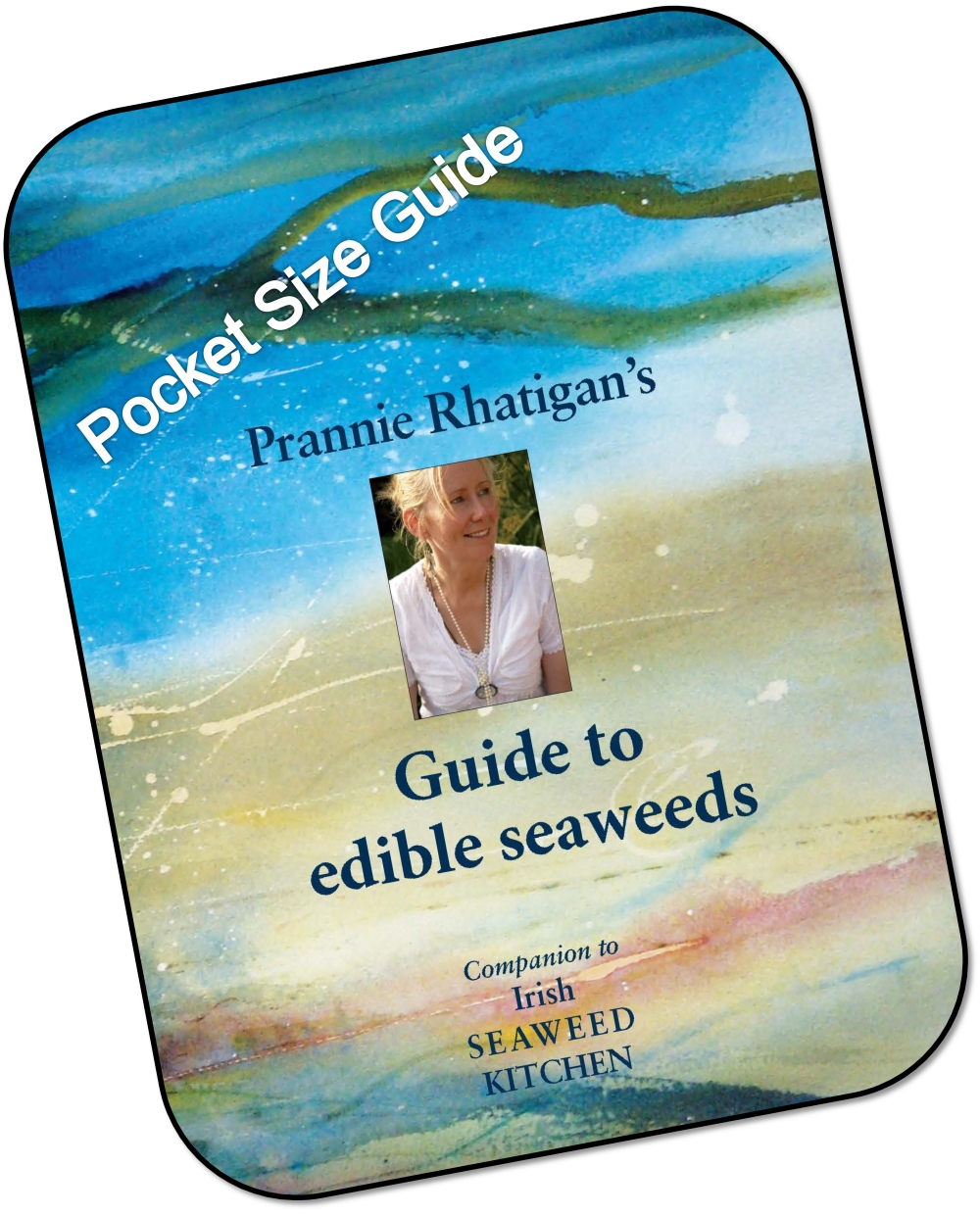 Guide to edible seaweeds
