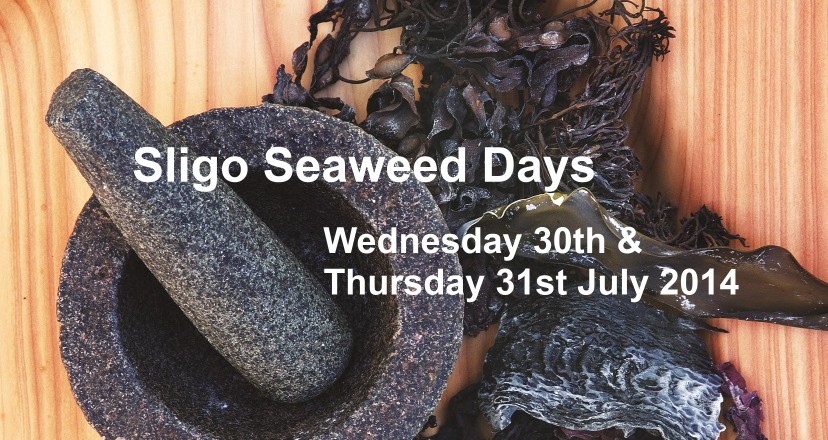 Sligo Seaweed Days 2014