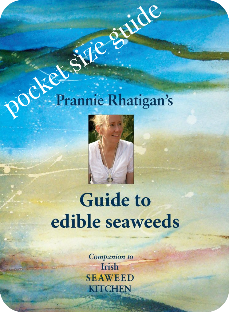 irish seaweed kitchen guide to edible seaweeds pocket size guide